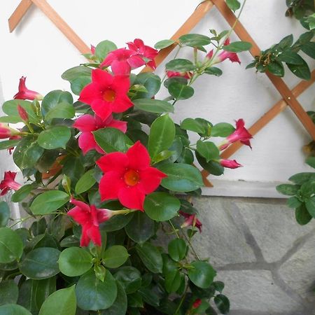 Aggela Guesthouse Skopelos Exterior foto